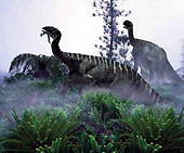 Forr�s: palaeos.com