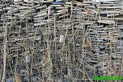 Forrás: www.greenpeace.org/international/photosvideos/slideshows/electronincs-dirty-secret?page=11