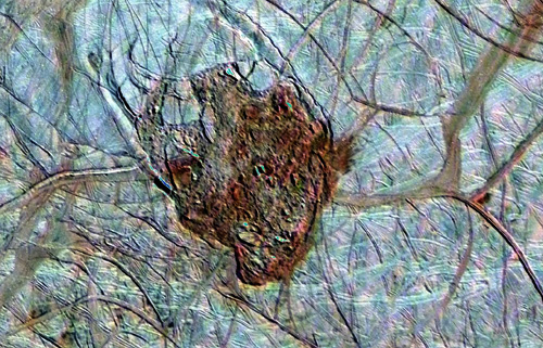 Forrás: JPL, NASA, Caltech
