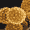 Forr�s: [origo]
