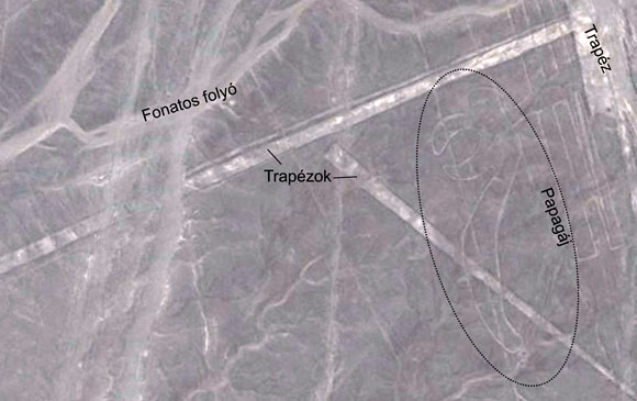 Forr�s: Google Earth