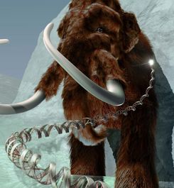 rw.mammoth.psu.edu
