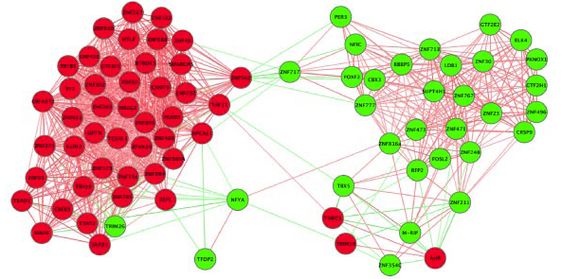 PNAS PNAS