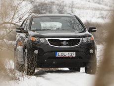 Fot�: Tuba Zolt�n [origo]