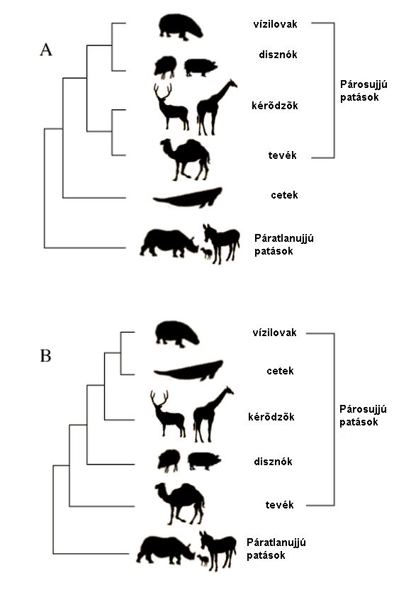 bioquest.org