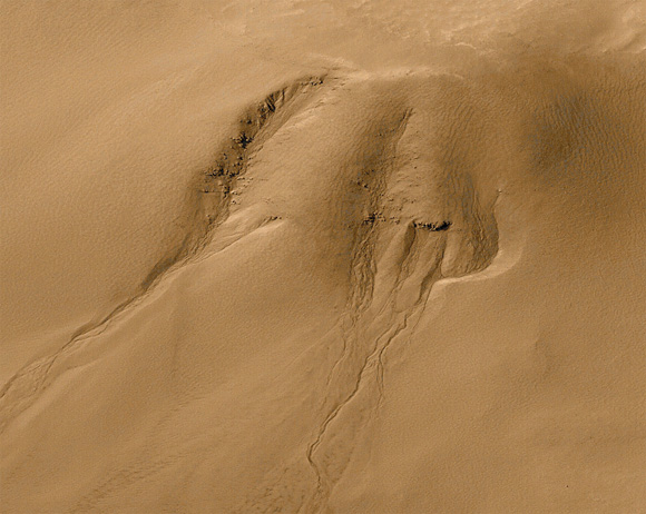 Forr�s: NASA