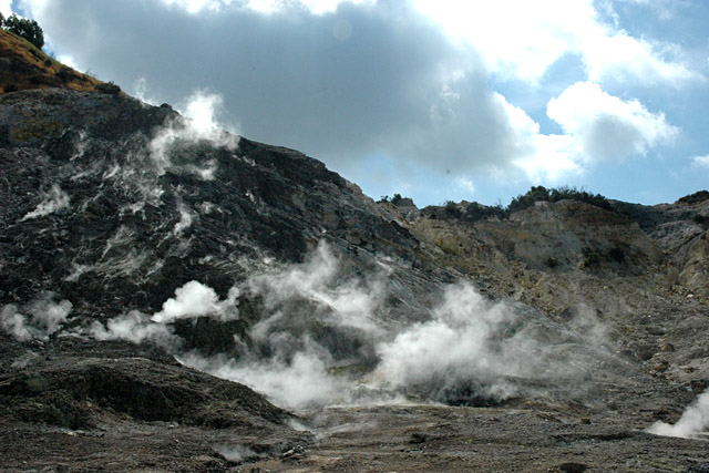 Forr�s: Wikipedia/�berraschungsbilder