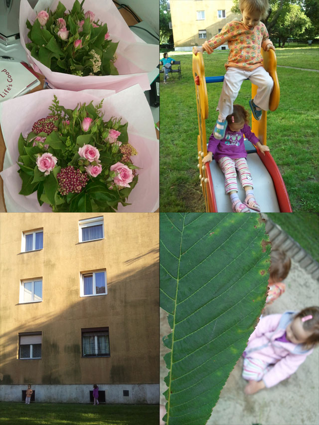 Forr�s: [origo]