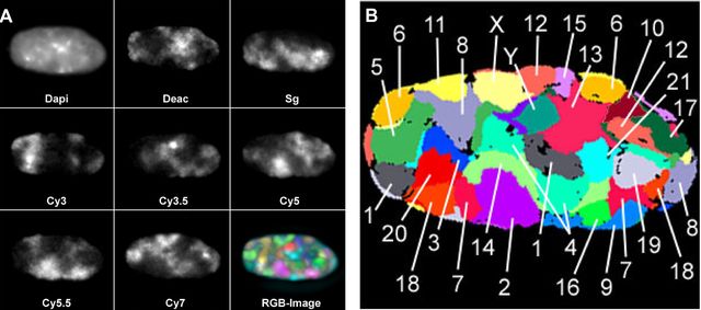 Bolzer et al., PloS