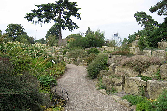 Forr�s: Wikimedia Commons