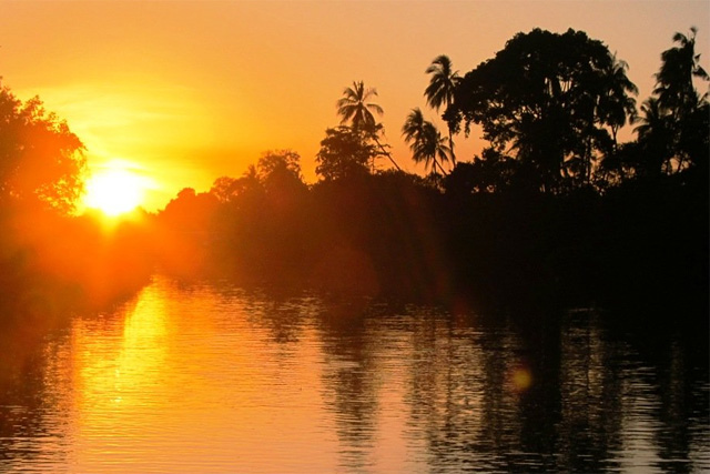Forr�s: Borneo USA Tours Snd.