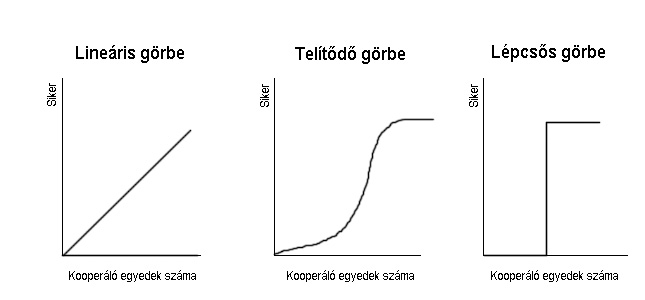 Pesthy Gábor