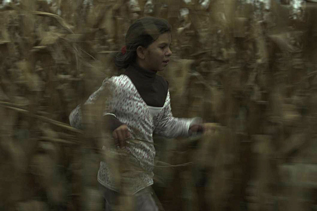 Forr�s: Filmszemle