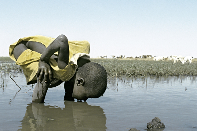 Forr�s: AFP/Photononstop/Bernard Foubert