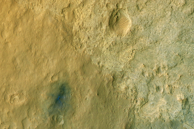 Forr�s: NASA